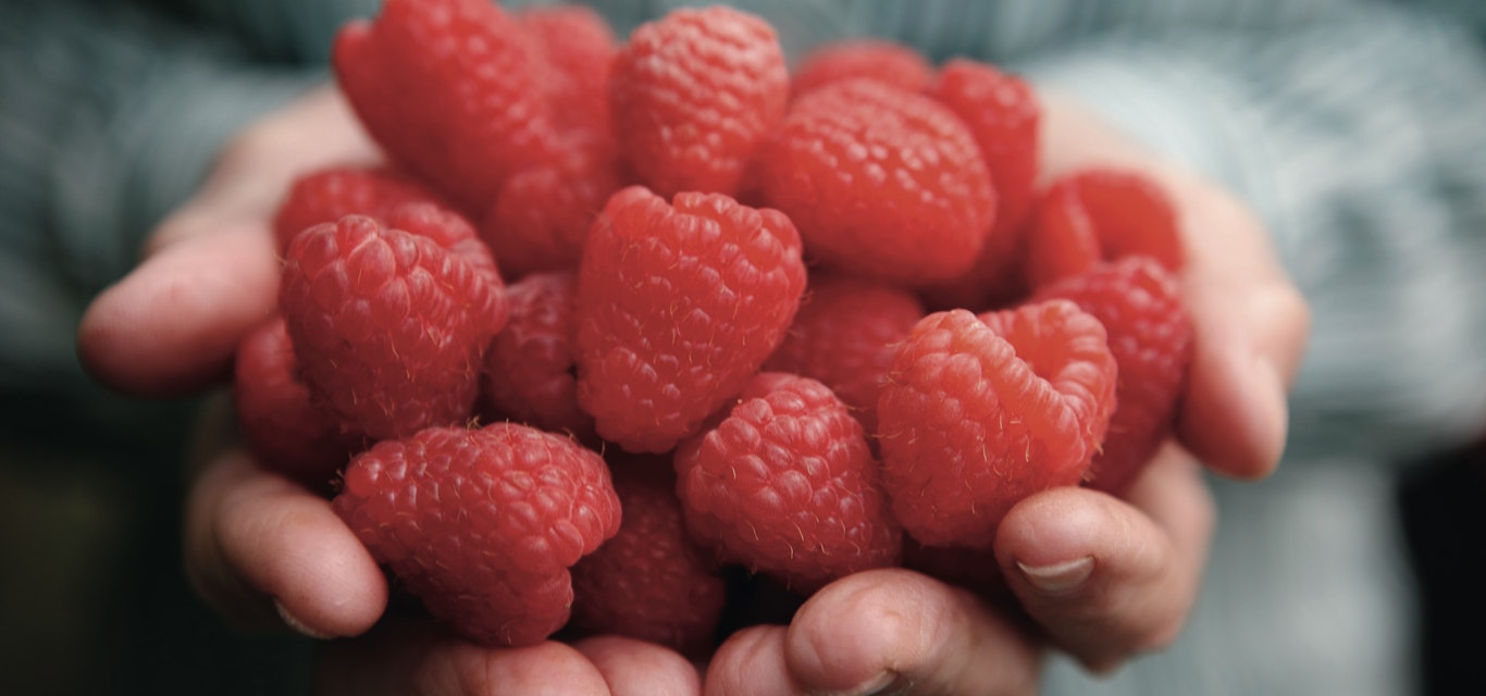 handful of raspberries