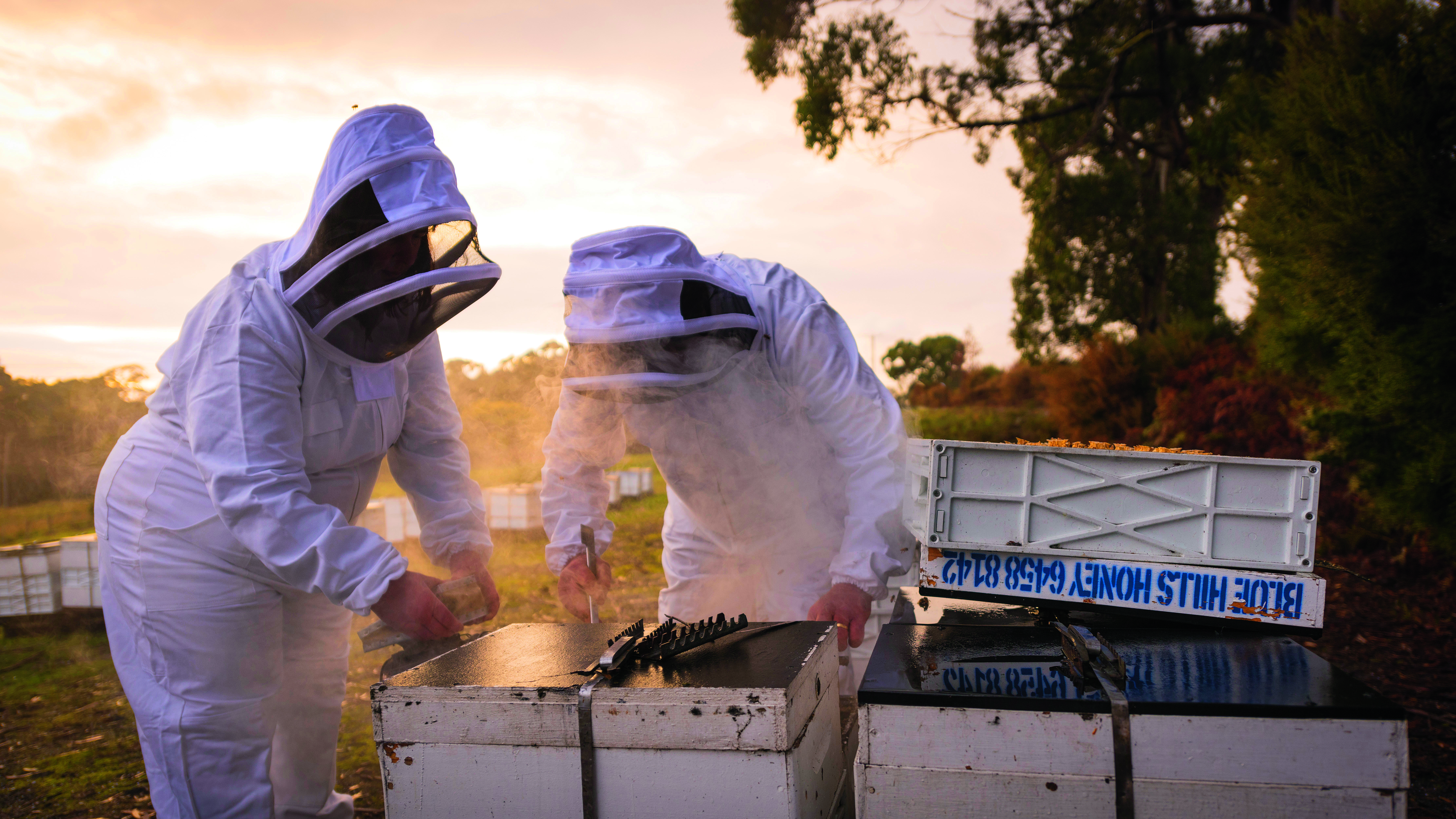 two beekeepers at Blue Hills Honey