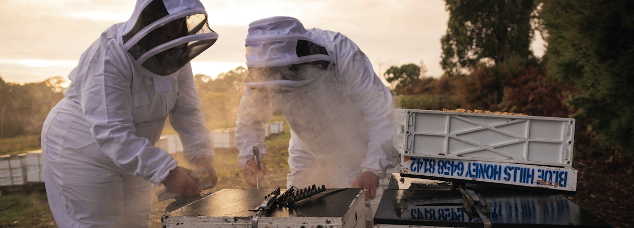 two beekeepers at Blue Hills Honey