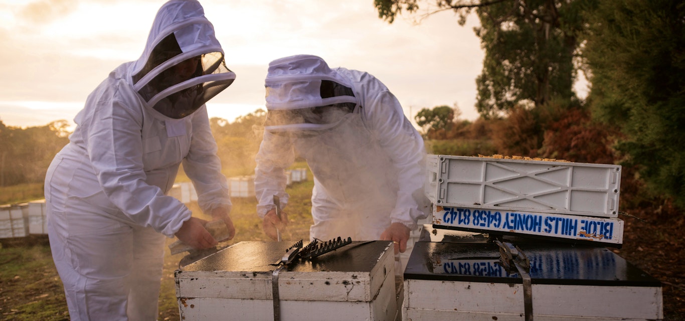 two beekeepers at Blue Hills Honey