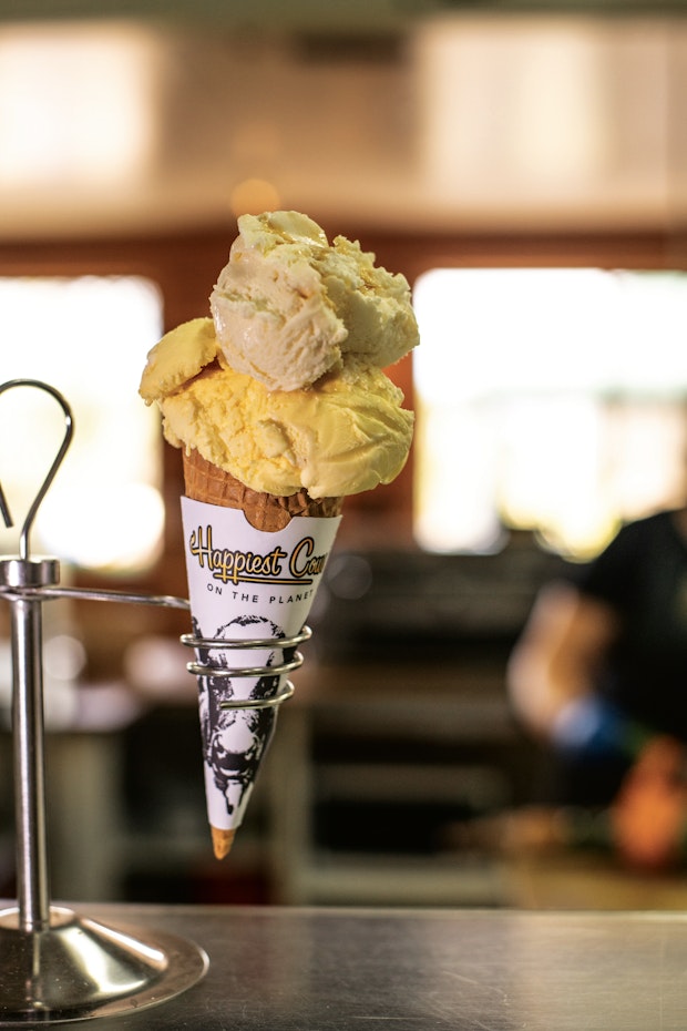 ice cream