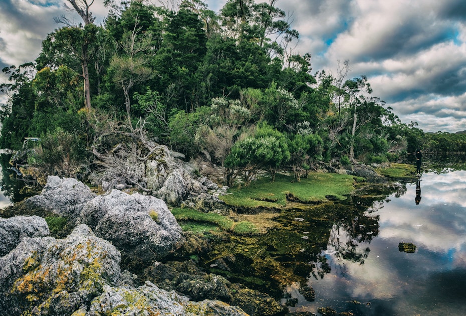 trees rocks and water