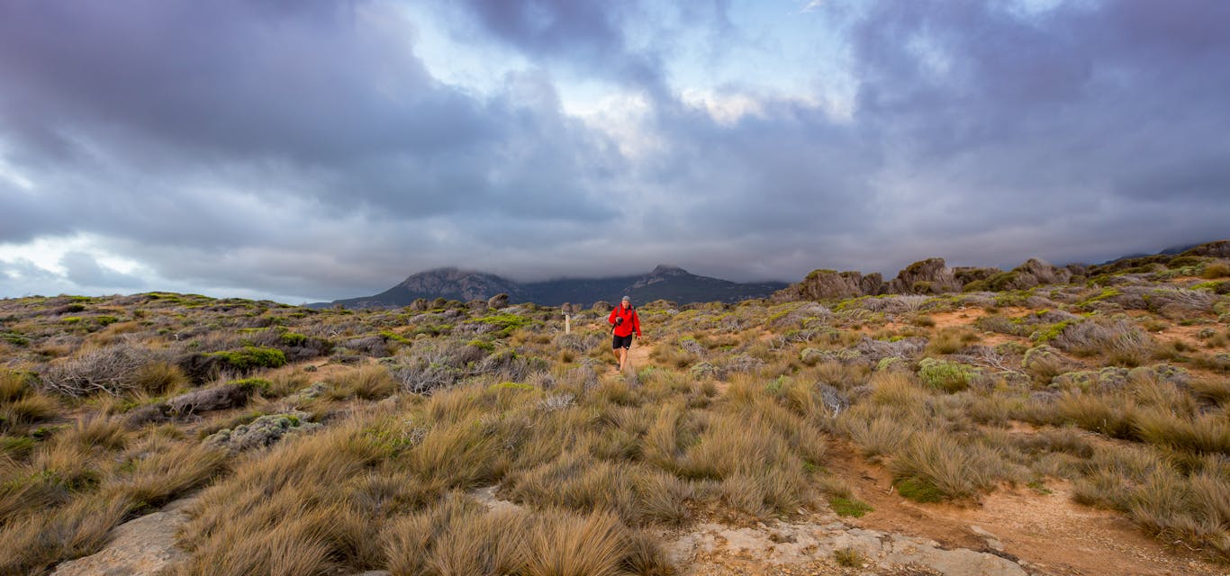 man running on wind swept trail