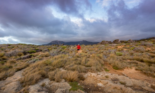 man running on wind swept trail