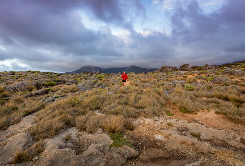 man running on wind swept trail