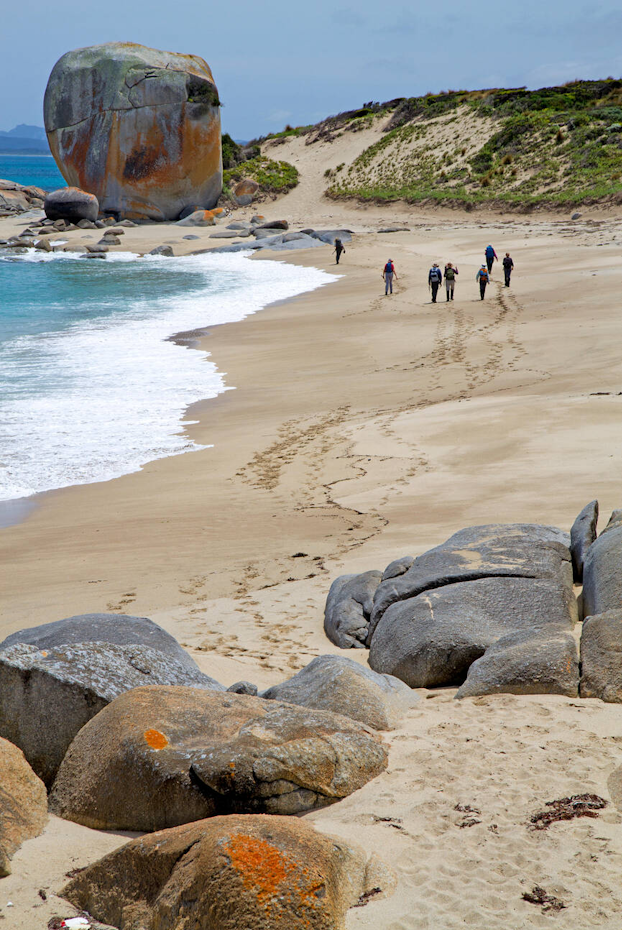 people walking along the beach