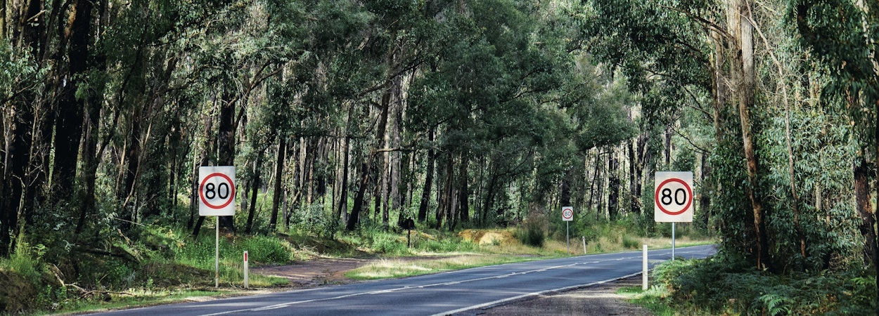 bushy road with 80 speed limit signs