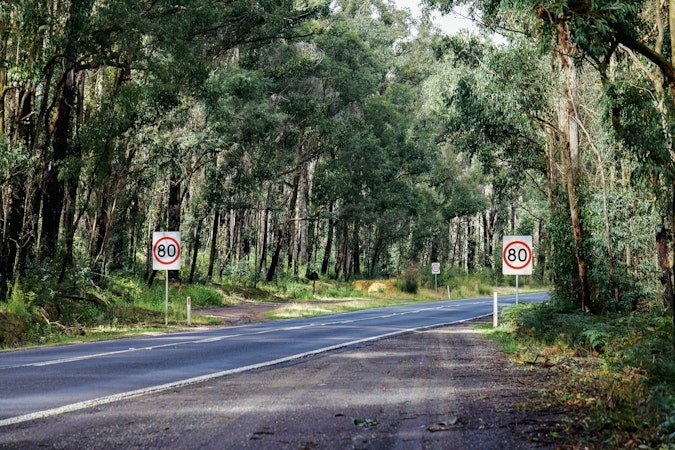 bushy road with 80 speed limit signs