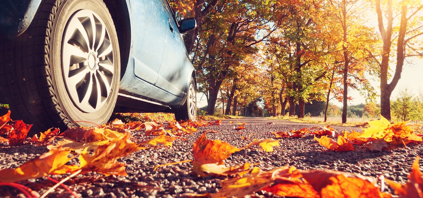 Car on road with autumn sun shining