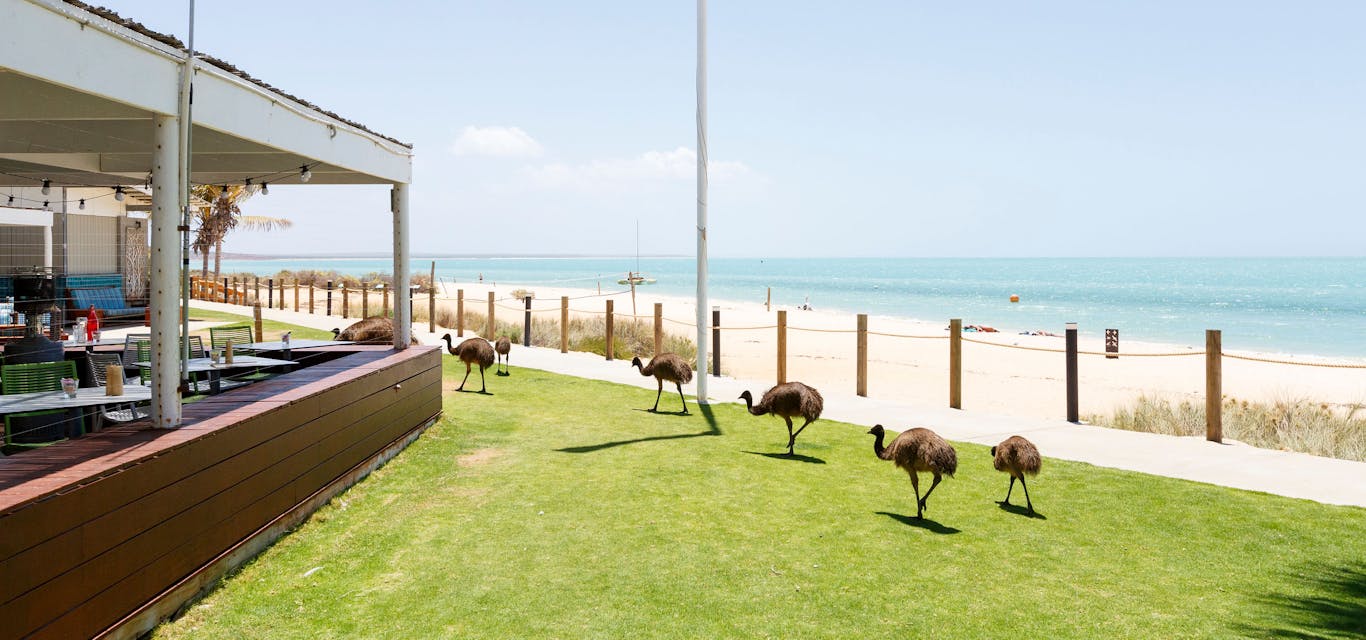 rac park and resort
