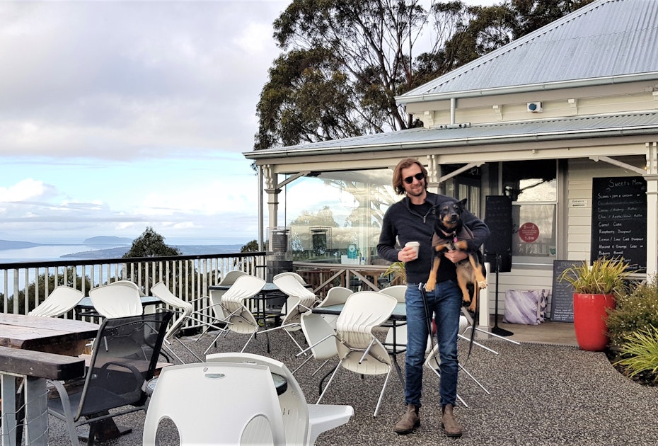 Man with dog at outdoor cafe