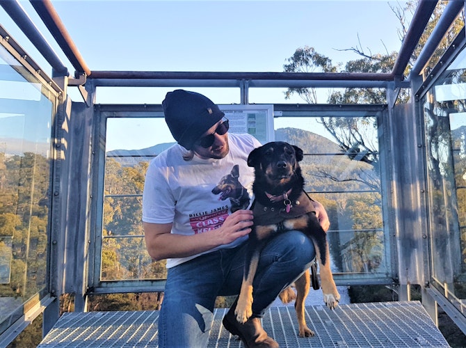 Dog at nature reserve 