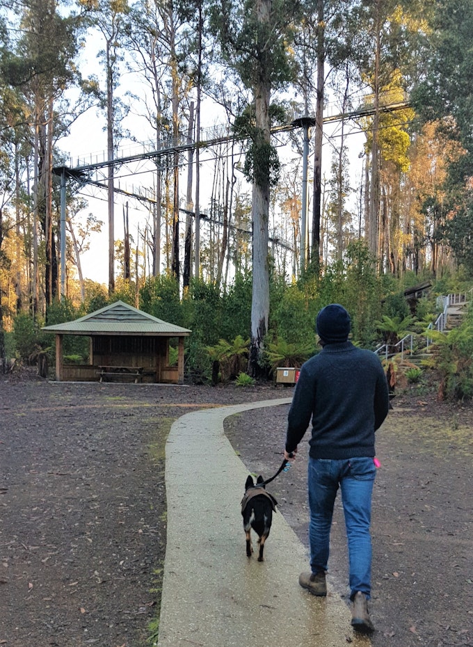 Man with dog walking to attraction
