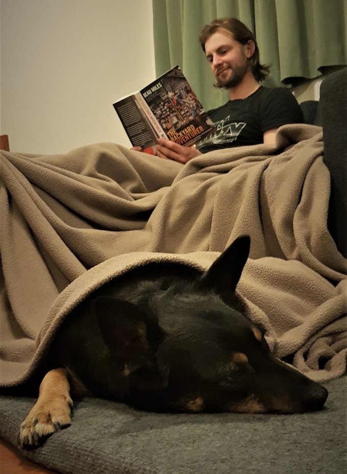 Dog asleep under a blanket
