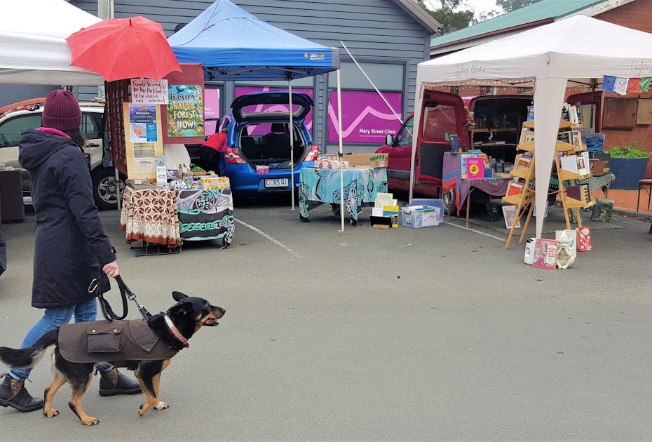 Lady walking dog at market