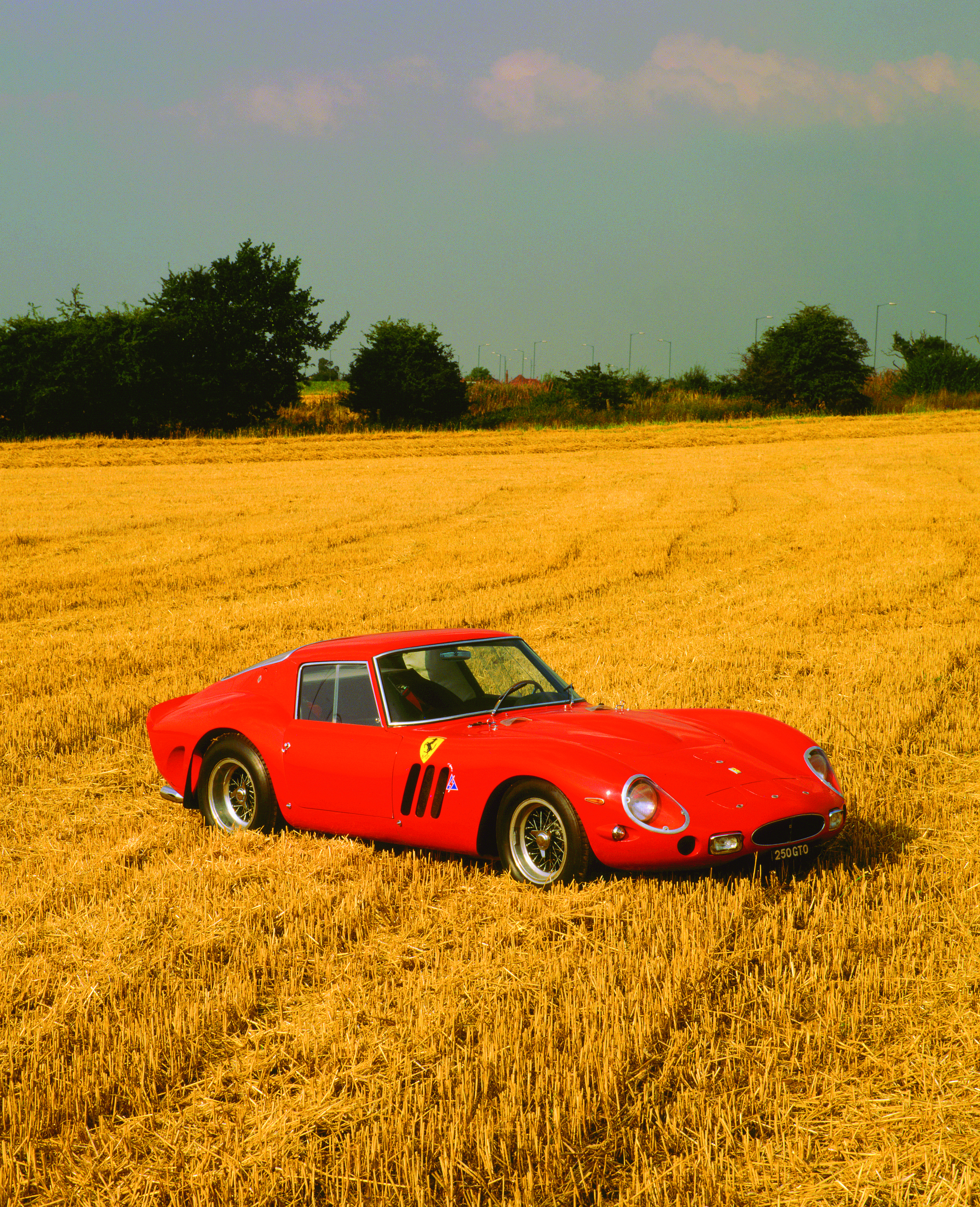 Ferrari GTO 250 in field