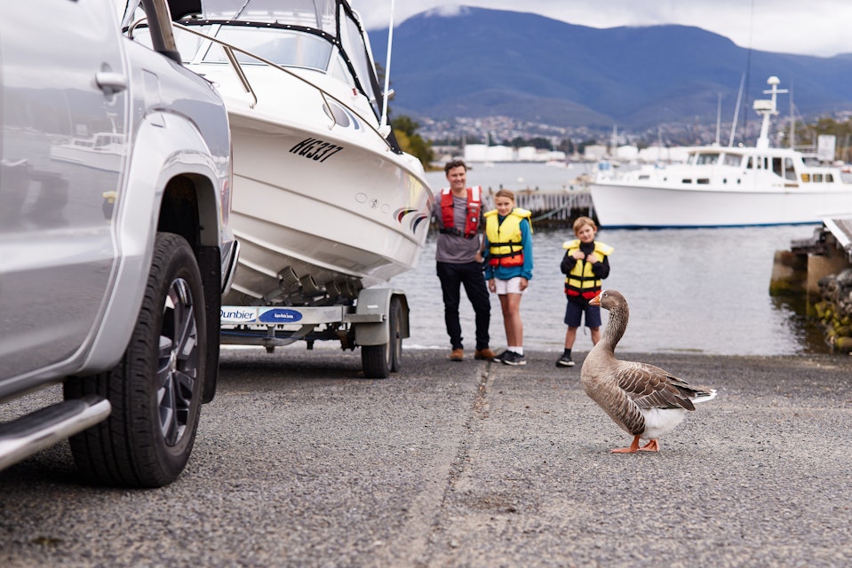 goose on boat ramp