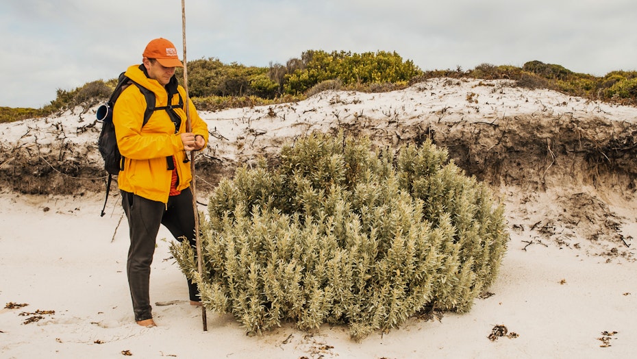 Jamie Graham-Blair sharing cultural knowledge about saltbush