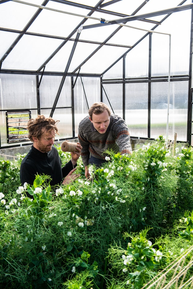 Mitch and worker in greenhouse