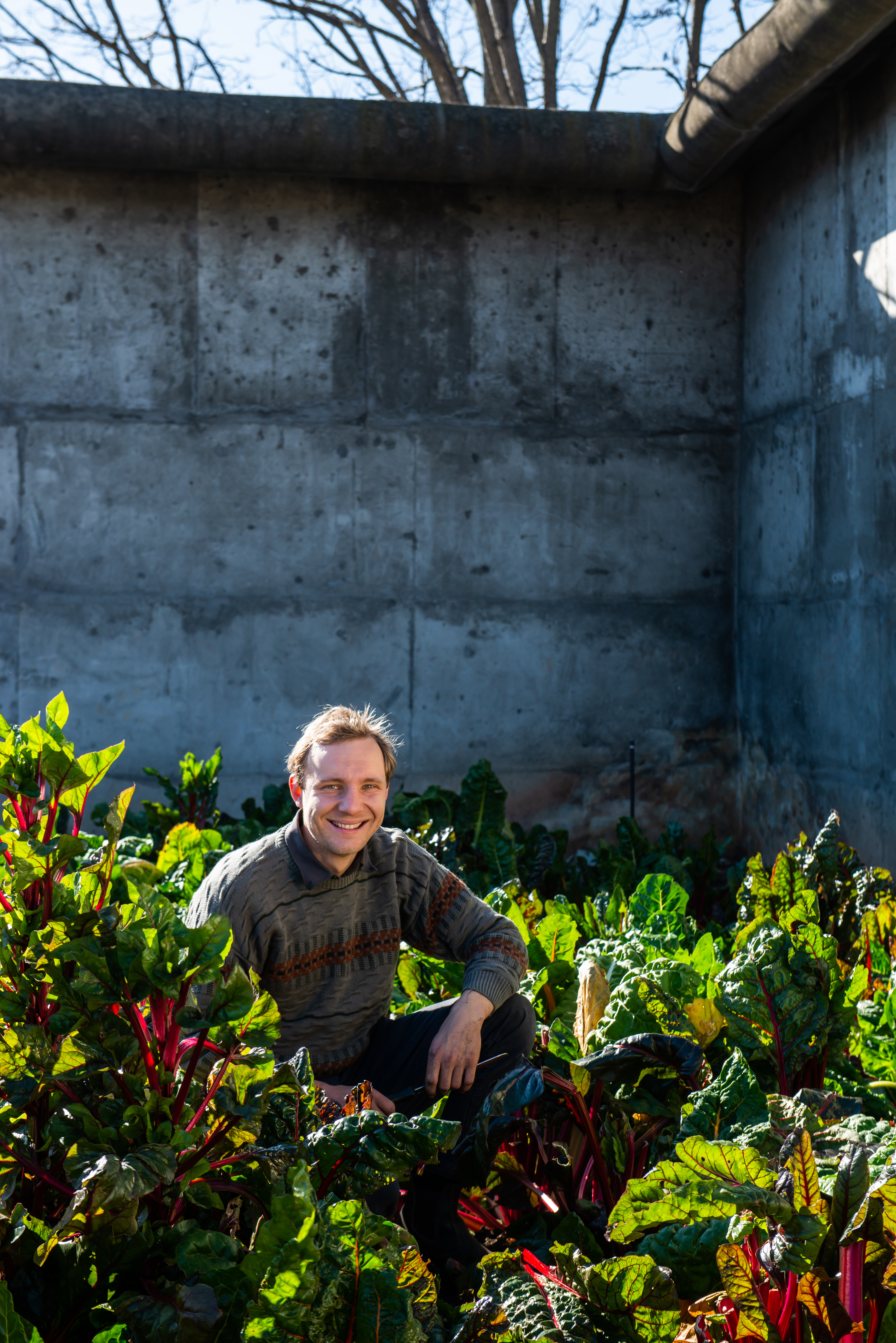 Mitch Thiessen amongst the crops
