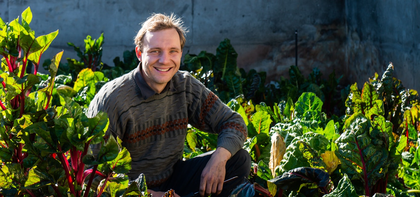 Mitch Thiessen amongst the crops Mitch Thiessen amongst the crops
