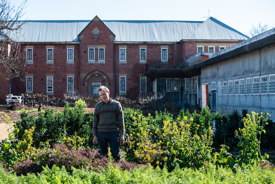 Mitch stands in a field of his crops