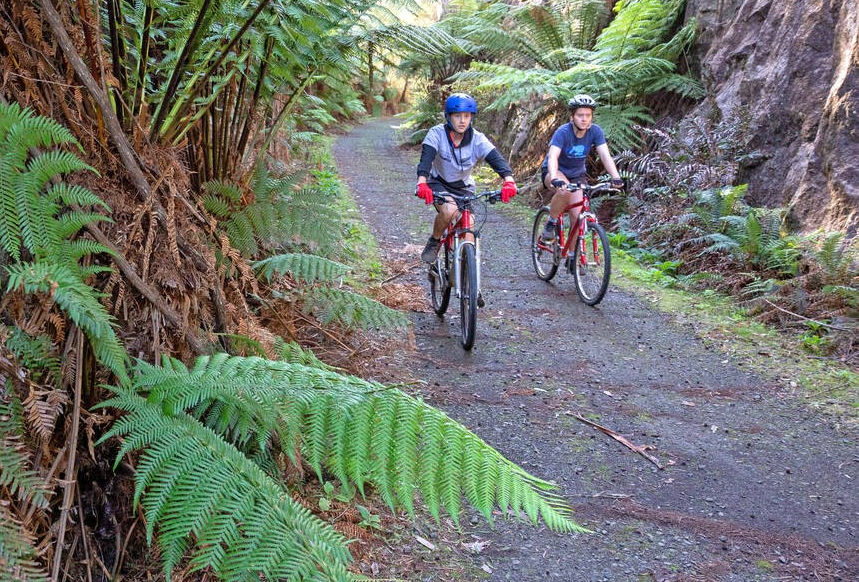 Riding bikes down track near ferns
