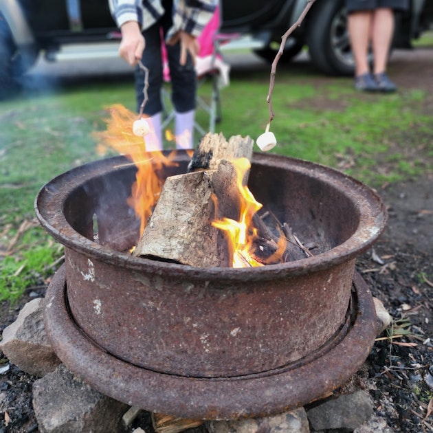 toasting marshmallows over camp fire