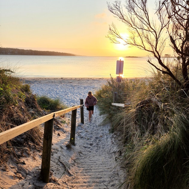 walking track to the beach