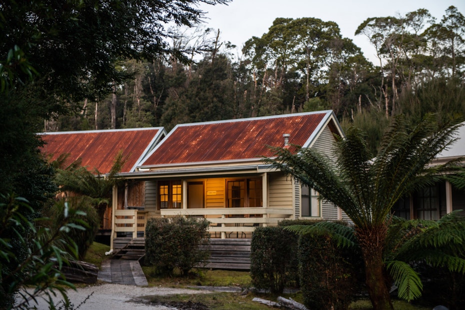 house in bush