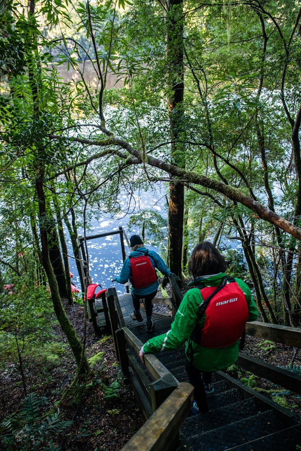 People walking down stairs to water