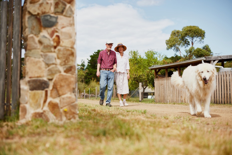 man and woman walking with dog