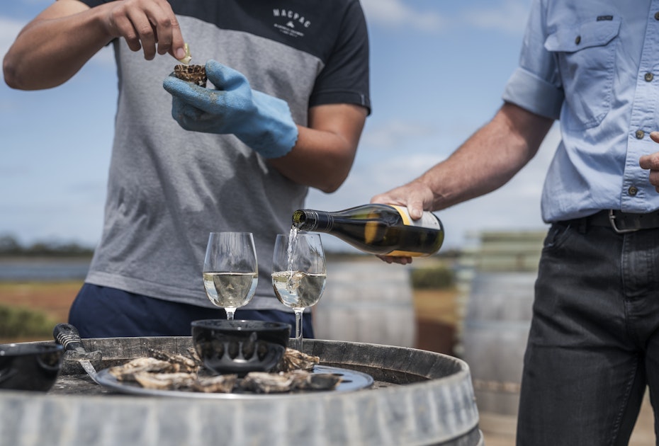 oysters and wine
