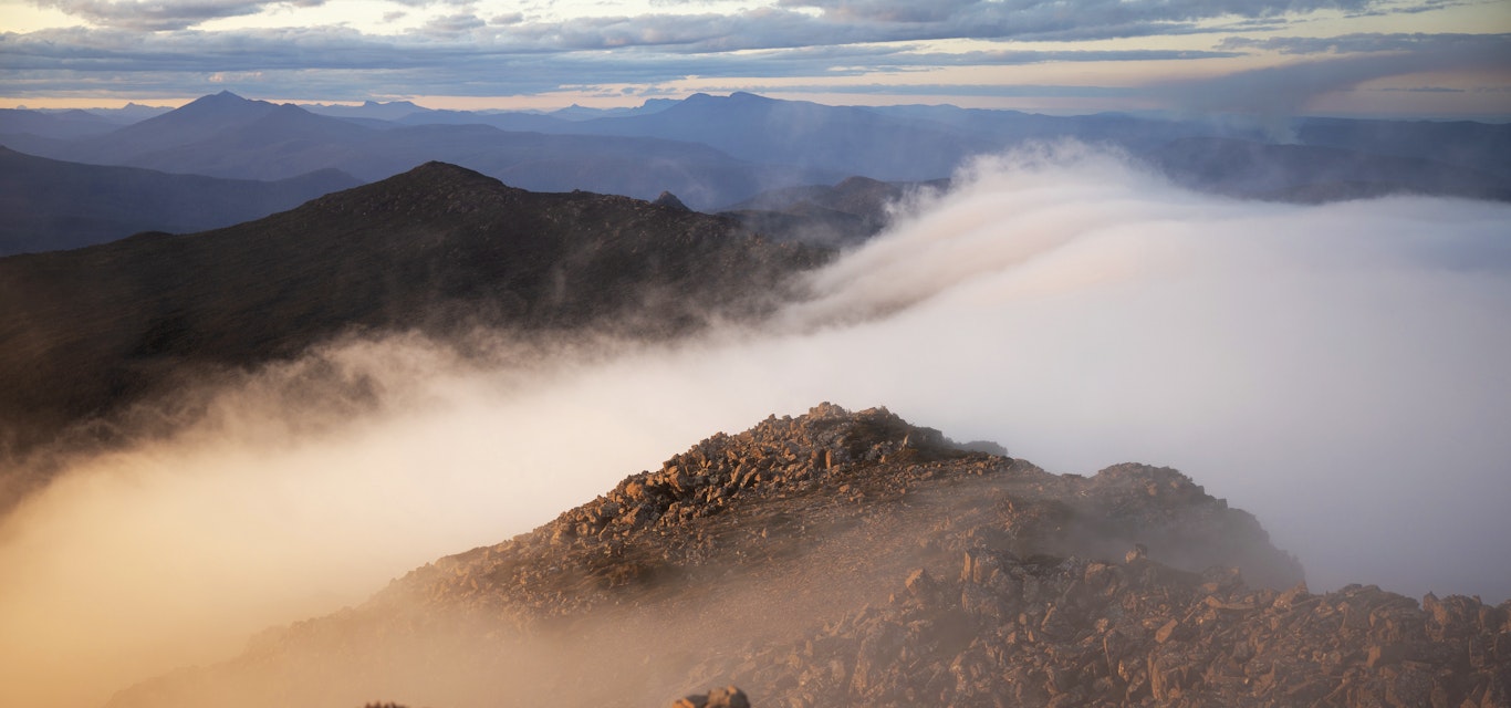 Mist over Hartz Mountains National Park