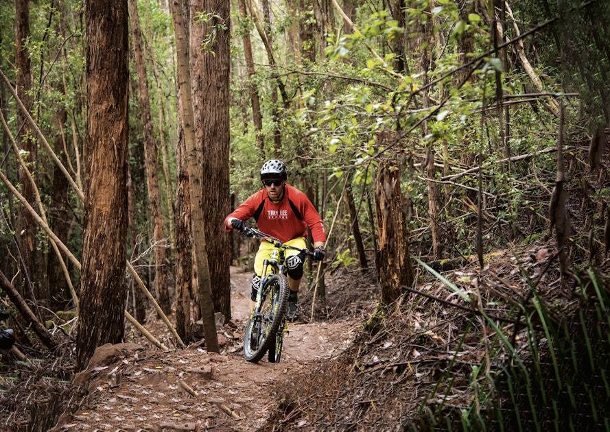 Blue Derby mountain bike trails