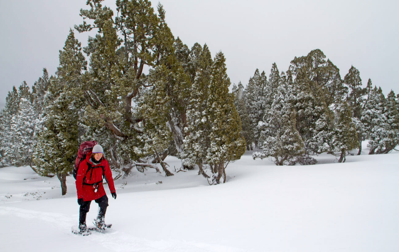 Snowshoeing in Walls of Jerusalem National Park