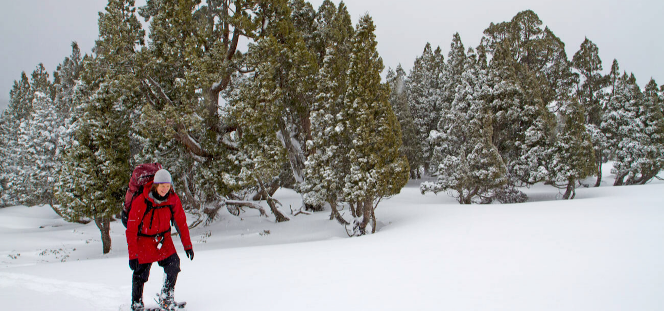 Snowshoeing in Walls of Jerusalem National Park Snowshoeing in Walls of Jerusalem National Park