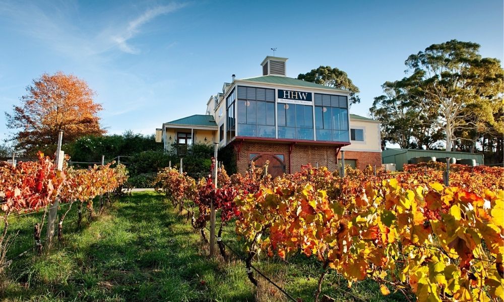 Adelaide Hills winery