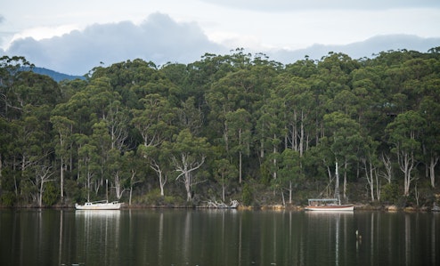 Boats on the Huon River