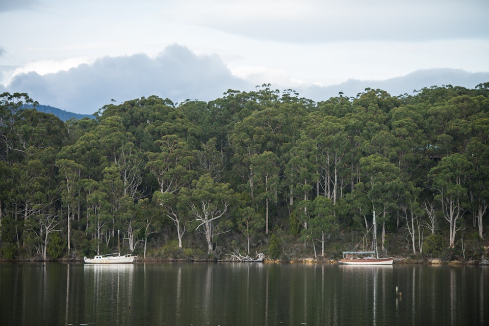 Boats on the Huon River