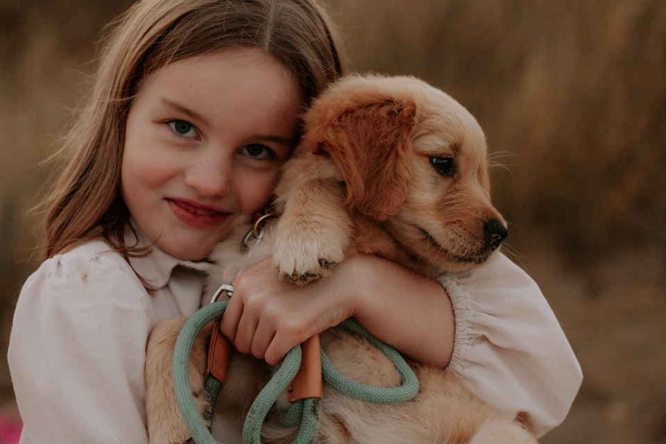 Young girl holding golden retriever puppy