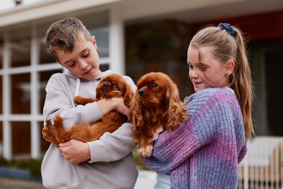 Young boy and girl holding dogs