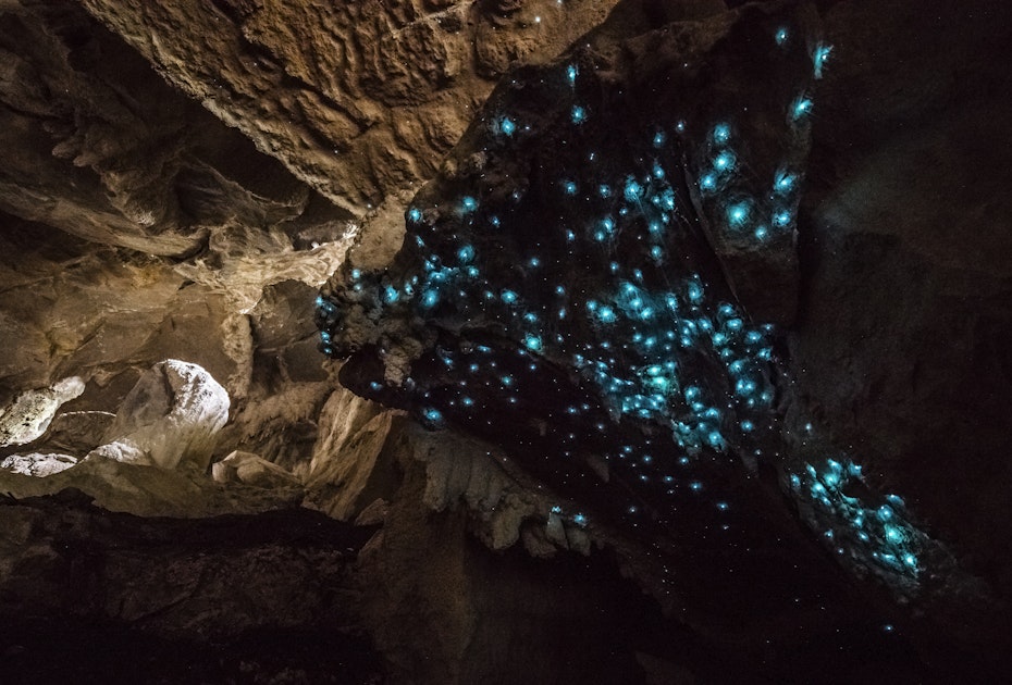 Glow-worms in Mystery Creek Cave