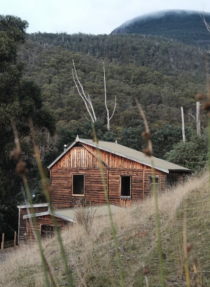 Luxury cabin, Provider House in Lenah Valley