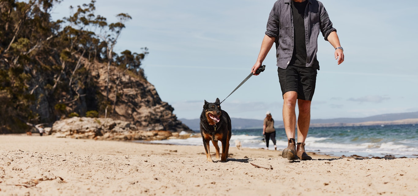 Man walking dog on dog beach