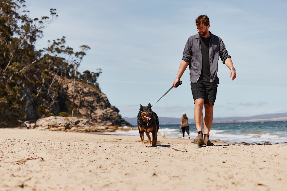 Man walking dog on dog beach