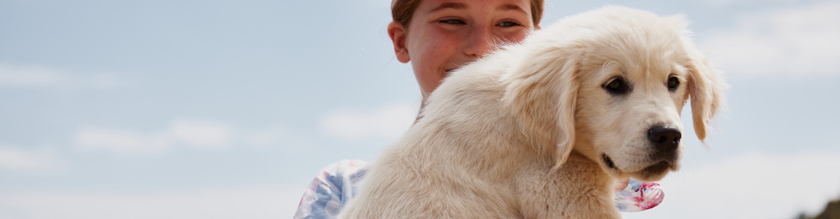 Young girl holding golden retriever puppy