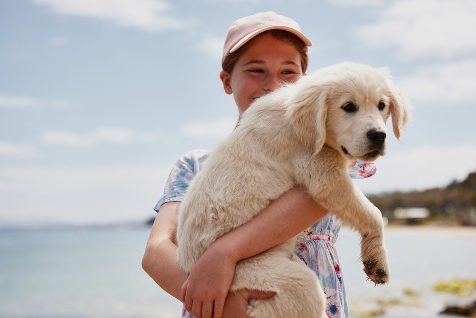 Young girl holding golden retriever puppy
