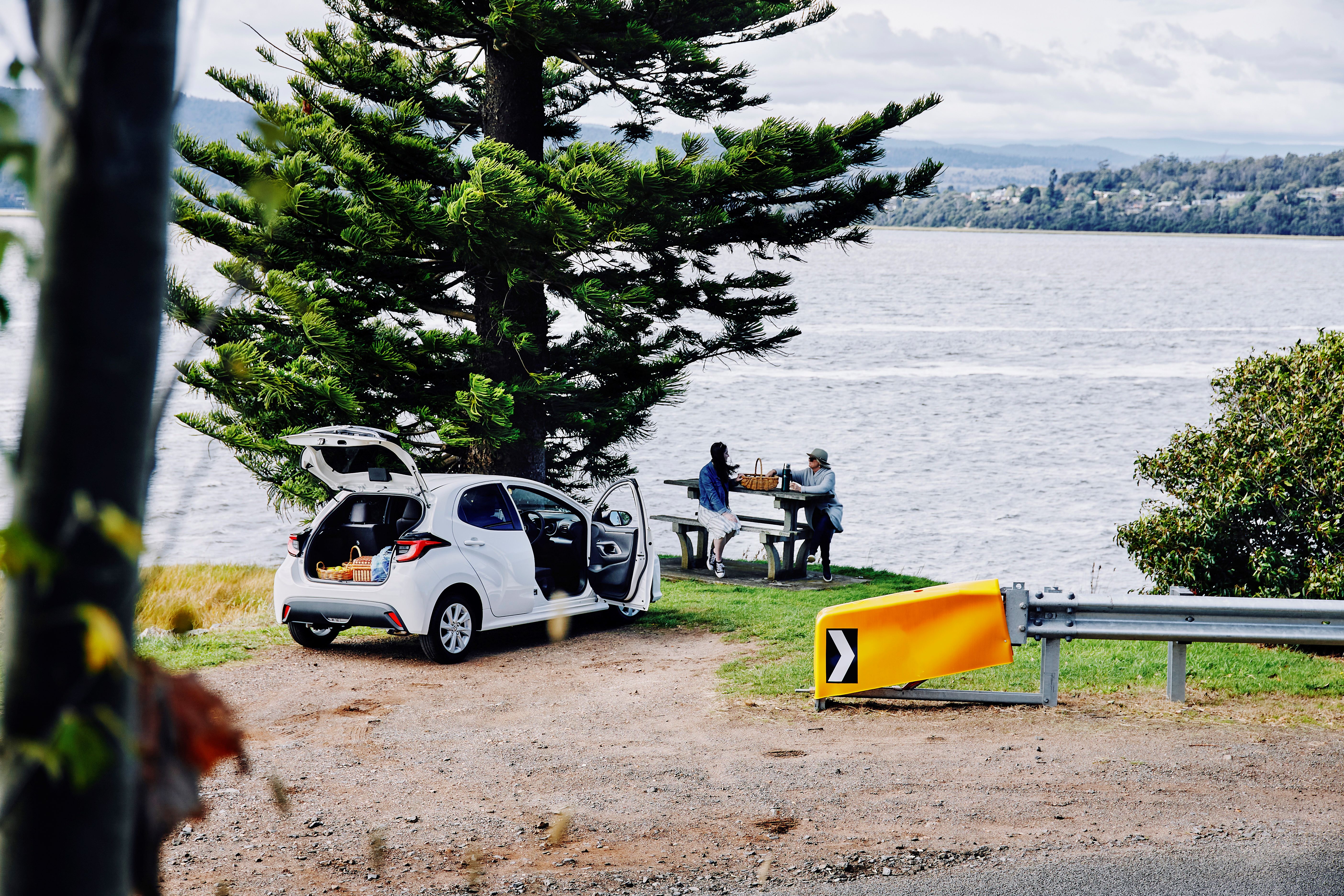 Women enjoying road trip picnic beside car