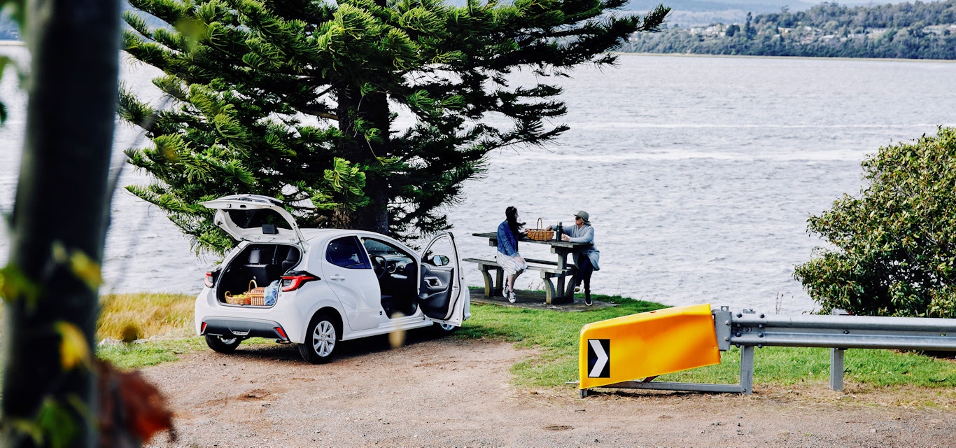 Women enjoying road trip picnic beside car